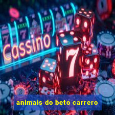 animais do beto carrero